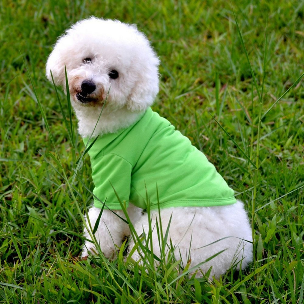 Pet Clothes Dog Solid color Polo Shirt Apparel Lapel Costume Dog Clothes T-shirt Casual Puppy Suit Cotton Clothes Cozy Shirt